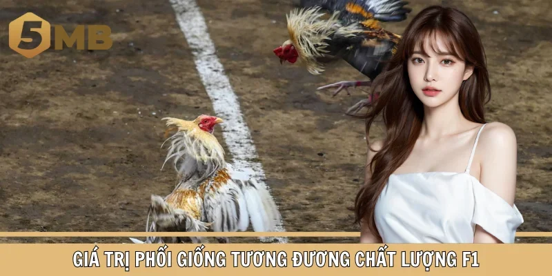 Giá trị phối giống tương đương chất lượng F1