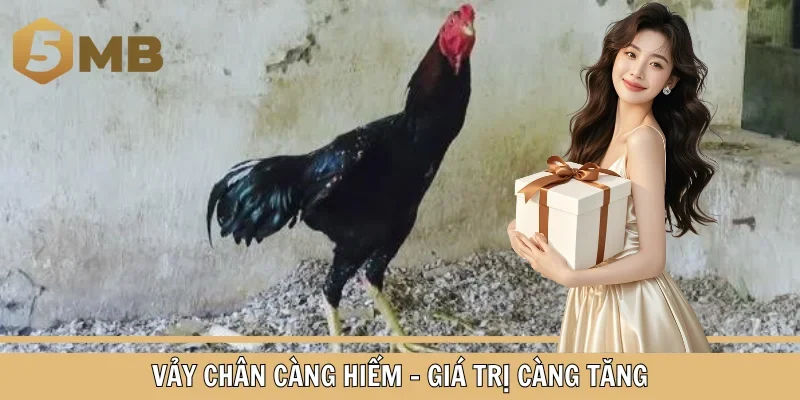 Vảy chân càng hiếm - Giá trị càng tăng